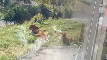 多摩動物公園に投稿された画像（2024/12/1）