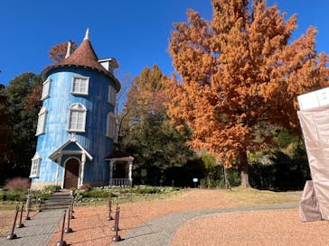 ムーミンバレーパークに投稿された画像（2024/12/1）