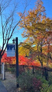 ムーミンバレーパークに投稿された画像（2024/12/1）