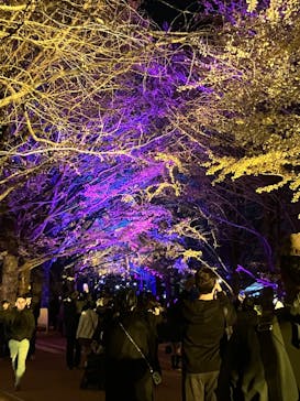 国営昭和記念公園 秋の夜散歩に投稿された画像（2024/12/1）
