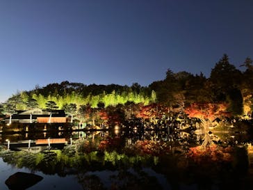 国営昭和記念公園 秋の夜散歩に投稿された画像（2024/12/1）