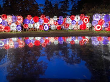 国営昭和記念公園 秋の夜散歩に投稿された画像（2024/12/1）