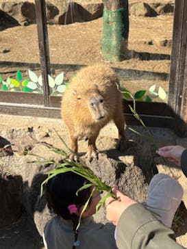 伊豆シャボテン動物公園に投稿された画像（2024/12/1）