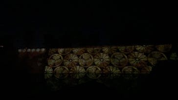 NAKED meets 二条城 2025 観月に投稿された画像（2024/12/1）