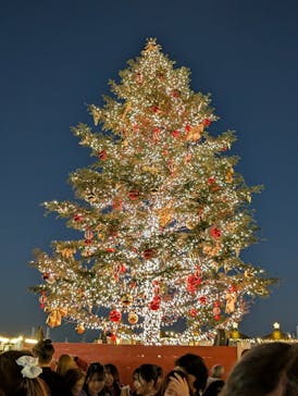 Christmas Market in 横浜赤レンガ倉庫 2025に投稿された画像（2024/12/1）