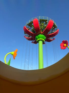 鈴鹿サーキットに投稿された画像（2024/12/1）