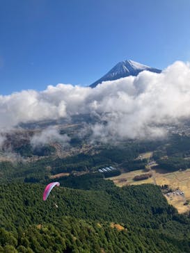 スカイ朝霧 パラグライダー・カヌースクールに投稿された画像（2024/12/1）