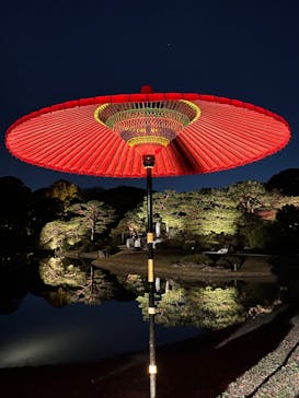 六義園に投稿された画像（2024/12/1）
