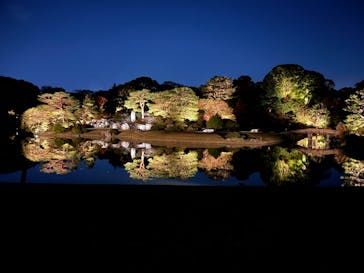 六義園に投稿された画像（2024/12/1）