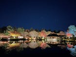 国営昭和記念公園 秋の夜散歩に投稿された画像（2024/12/1）