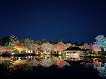 国営昭和記念公園 秋の夜散歩に投稿された画像（2024/12/1）