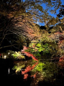 六義園に投稿された画像（2024/12/1）