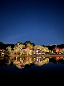 六義園に投稿された画像（2024/12/1）