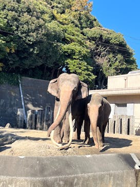 横浜市立金沢動物園に投稿された画像（2024/12/1）