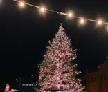 Christmas Market in 横浜赤レンガ倉庫 2025に投稿された画像（2024/12/1）