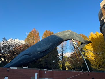 国立科学博物館に投稿された画像（2024/12/1）