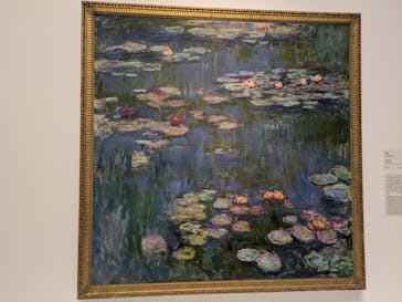モネ 睡蓮のとき（国立西洋美術館）に投稿された画像（2024/12/1）