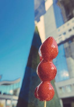 梅田スカイビル・空中庭園展望台に投稿された画像（2024/12/1）