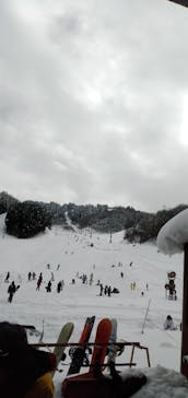 ホワイトピアたかすに投稿された画像（2024/12/1）