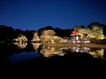 六義園に投稿された画像（2024/12/1）