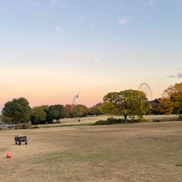 万博記念公園に投稿された画像（2024/12/1）