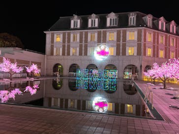 神戸イルミナージュに投稿された画像（2024/12/1）