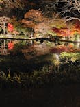 国営昭和記念公園 秋の夜散歩に投稿された画像（2024/12/1）