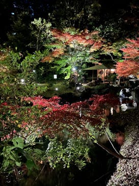 六義園に投稿された画像（2024/12/1）