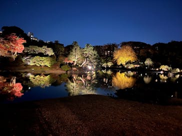 六義園に投稿された画像（2024/12/1）