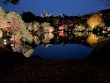 六義園に投稿された画像（2024/12/1）
