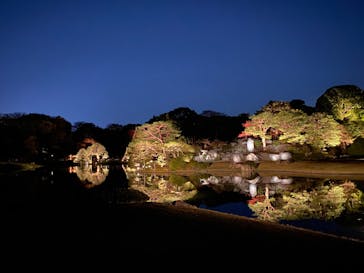 六義園に投稿された画像（2024/12/1）