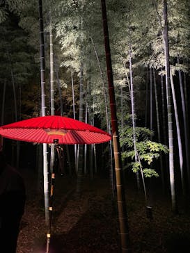 六義園に投稿された画像（2024/12/1）