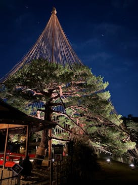 六義園に投稿された画像（2024/12/1）