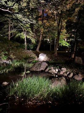 六義園に投稿された画像（2024/12/1）