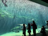 九十九島水族館海きららに投稿された画像（2024/12/1）