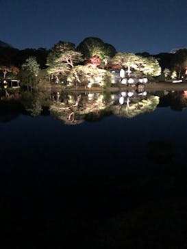 六義園に投稿された画像（2024/12/1）