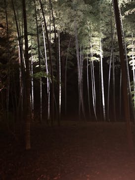 六義園に投稿された画像（2024/12/1）