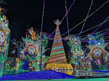 さがみ湖MORI MORIに投稿された画像（2024/12/1）