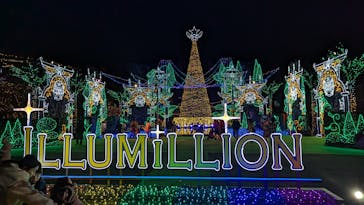 さがみ湖MORI MORIに投稿された画像（2024/12/1）