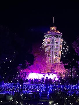 江の島シーキャンドルに投稿された画像（2024/12/1）