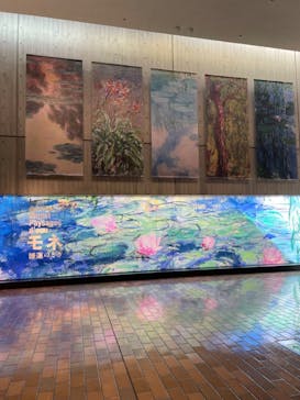 モネ 睡蓮のとき（国立西洋美術館）に投稿された画像（2024/12/1）