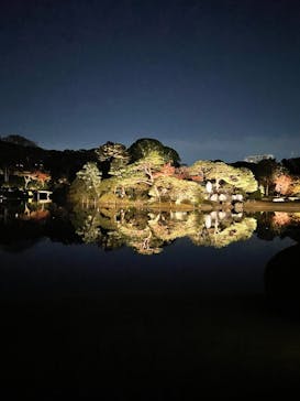 六義園に投稿された画像（2024/12/1）