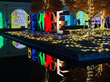 神戸イルミナージュに投稿された画像（2024/12/1）