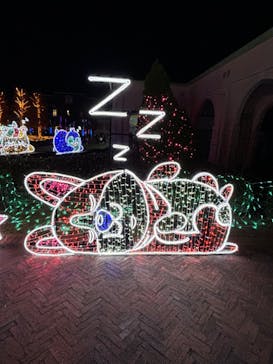 神戸イルミナージュに投稿された画像（2024/12/1）