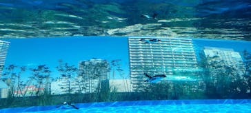 サンシャイン水族館に投稿された画像（2024/12/1）