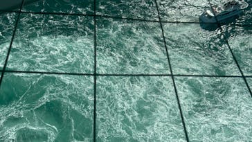 徳島県立 渦の道に投稿された画像（2024/12/1）