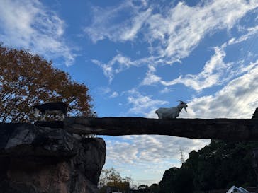 到津の森公園に投稿された画像（2024/12/1）