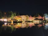 国営昭和記念公園 秋の夜散歩に投稿された画像（2024/12/2）