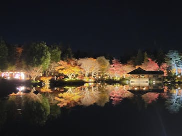 国営昭和記念公園 秋の夜散歩に投稿された画像（2024/12/1）