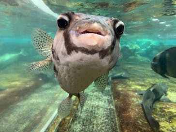 鴨川シーワールドに投稿された画像（2024/12/1）